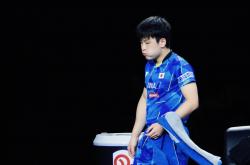开云体育直播-关于日本乒乓球队血洗韩国乒乓球队，张本智和关键制胜的信息