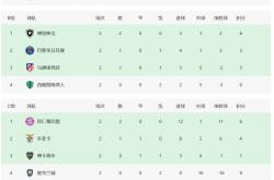 开云体育APP下载-包含独家：博塔弗戈世俱杯首战阵容预测的词条