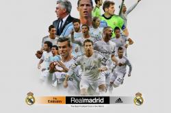 开云体育官网-北欧风暴席卷亚特兰大，厄德高独舞，瑞典队绝境突围