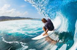 开云体育下载-蛰伏后的觉醒，爱德华兹的救赎与黄蜂的雷霆之战