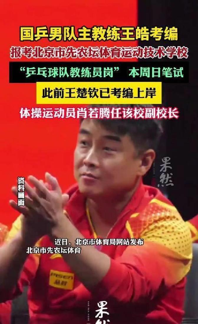 瑞典乒乓球队逆转法国乒乓球队，王皓送出助攻