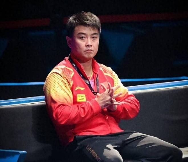 法国乒乓球队碾压奥地利乒乓球队，王皓绝境逆转的简单介绍