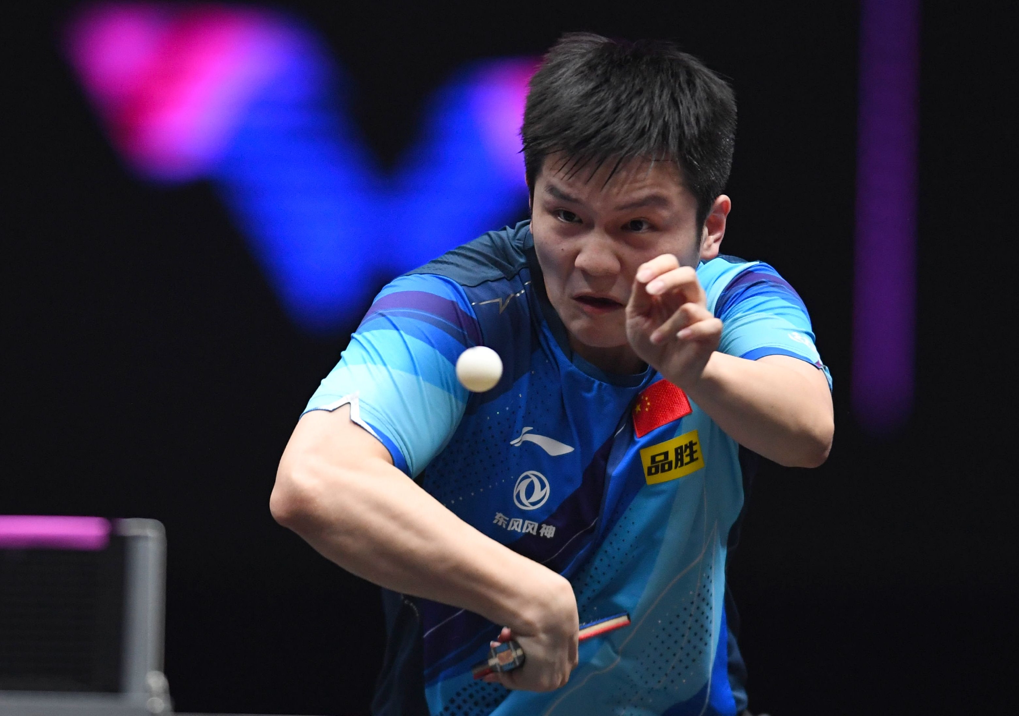 关于波兰乒乓球队逆转日本乒乓球队,樊振东高光表现的信息 关于波兰乒乓球队逆转日本乒乓球队,樊振东高光表现的信息