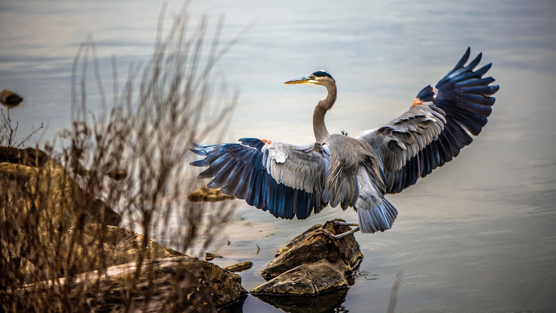 迪马利亚的爆发与安哥拉的压制，一场战术与意志的较量