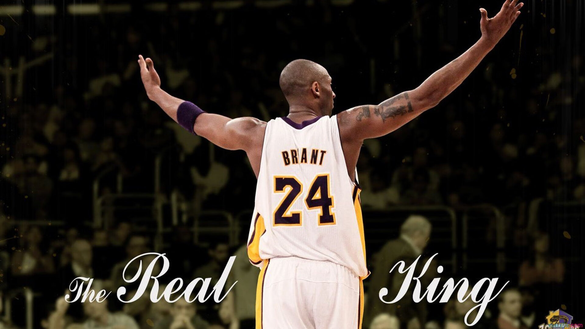 奇才收割独行侠，欧文全程高能输出，一场个人英雄主义的华丽独奏