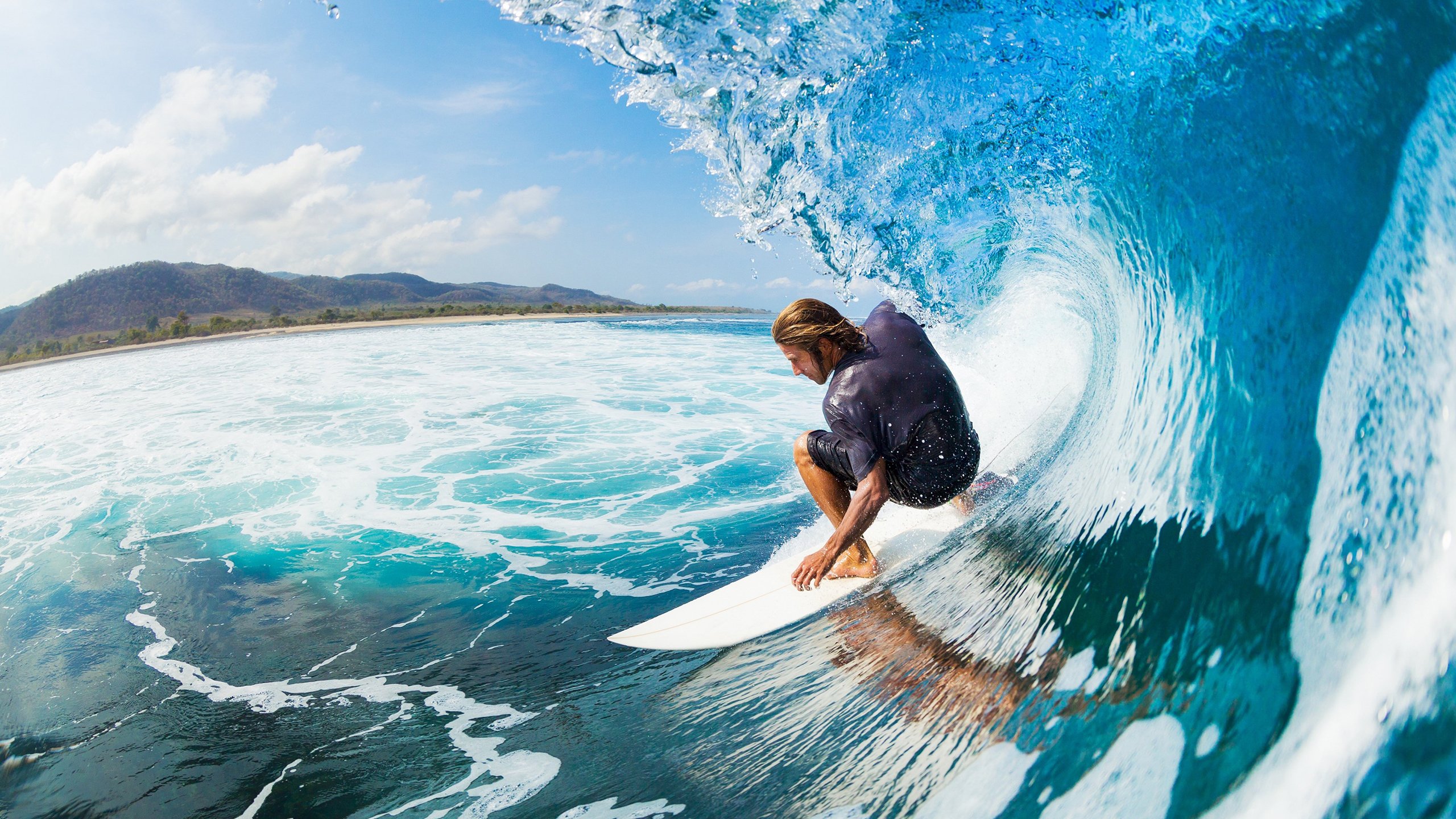 蛰伏后的觉醒,爱德华兹的救赎与黄蜂的雷霆之战